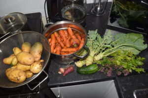 🌿 Main Vegetable Families