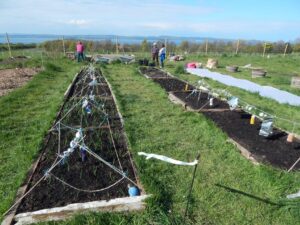 From Plot to Pot – Site Structure