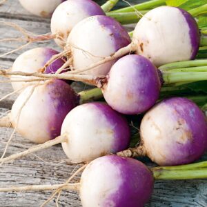 Turnip (White Globe)