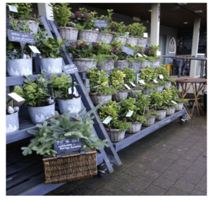 Plant Sale