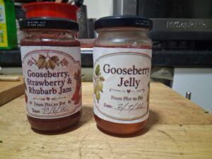 Gooseberry Jelly: Turning a Sharp Little Harvest into Gold